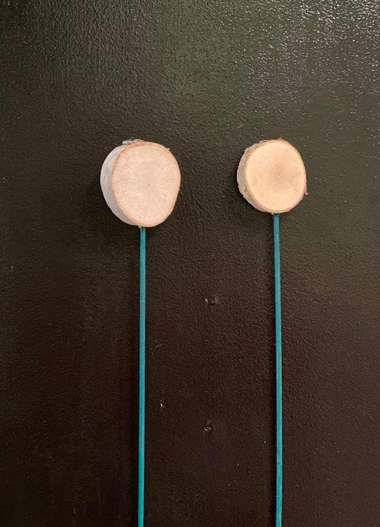 Birch Mini Lollipop W/Pick