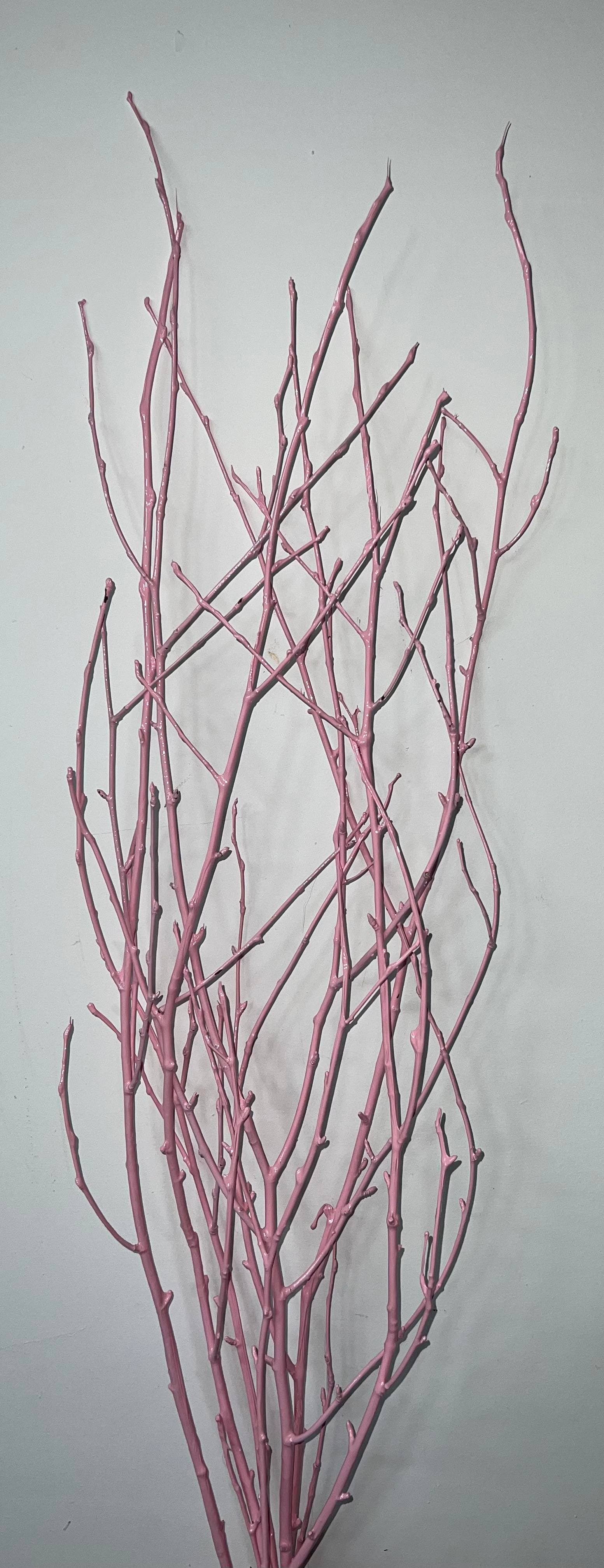 Painted Birch Branches, 4pc sleeve (3-4ft)