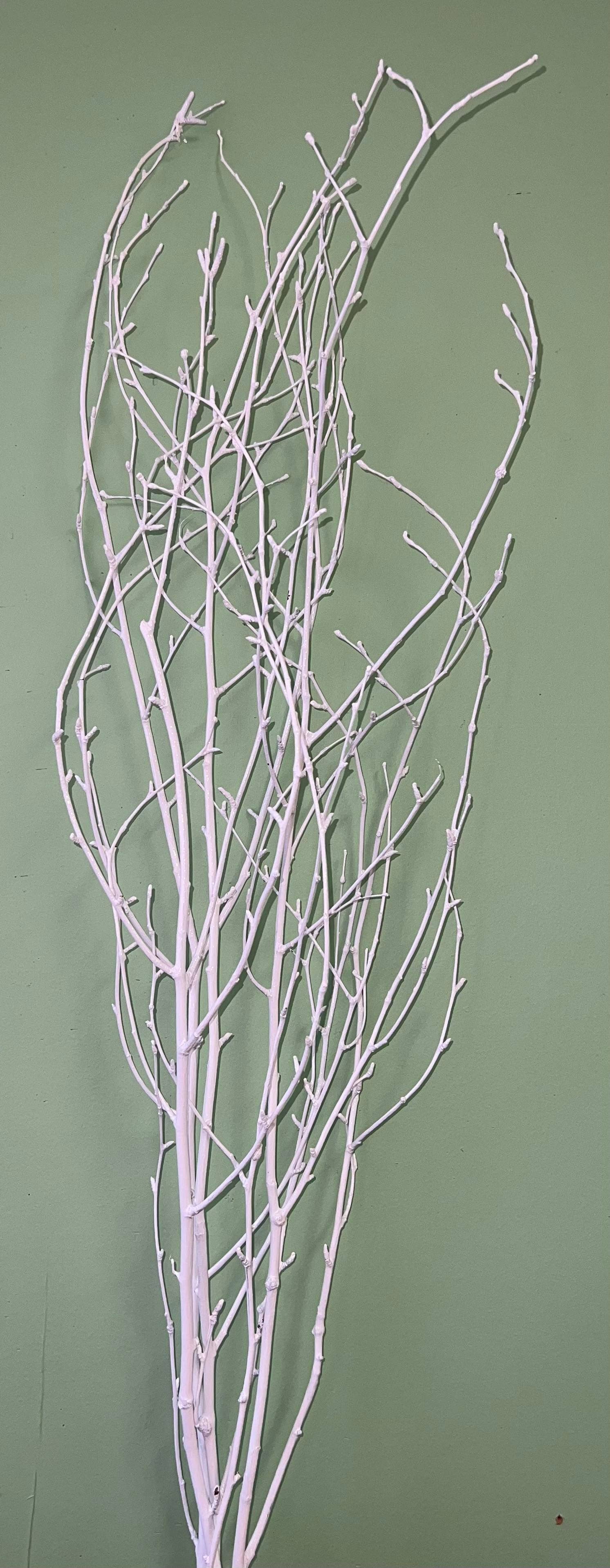 Painted Birch Branches, 4pc sleeve (3-4ft)