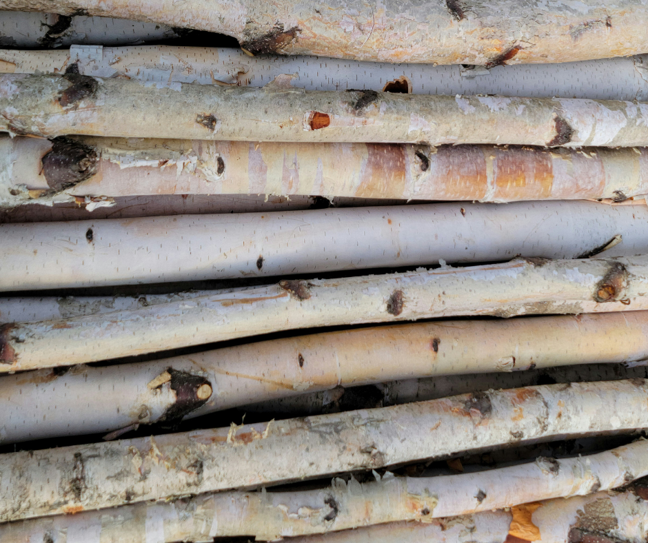 Birch Poles 4ft x 1-2" Diameter
