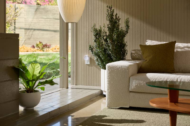 Paper White by Studio McGee - Pura Home Refill