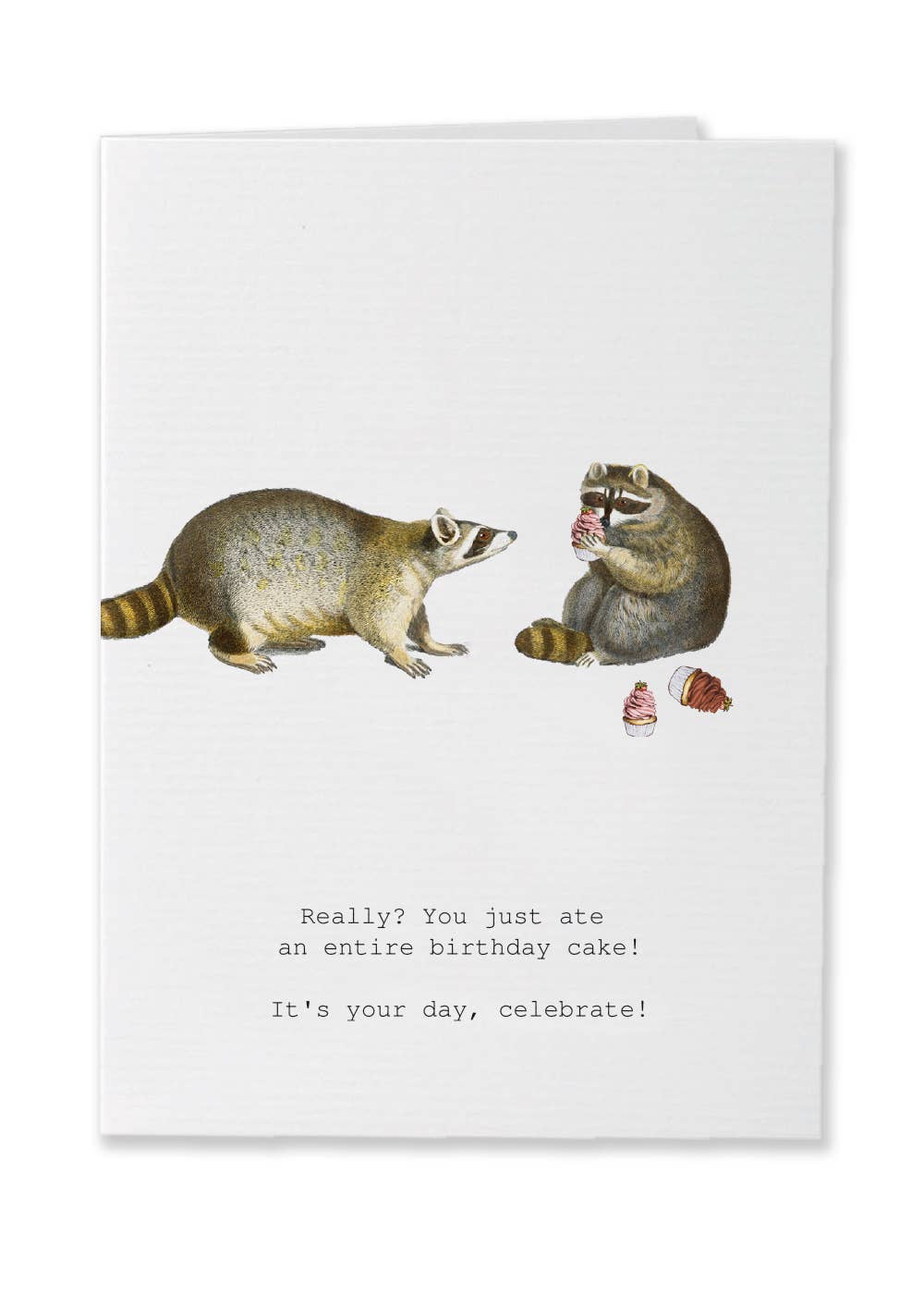 RACCOONS YOUR DAY GREETING CARD