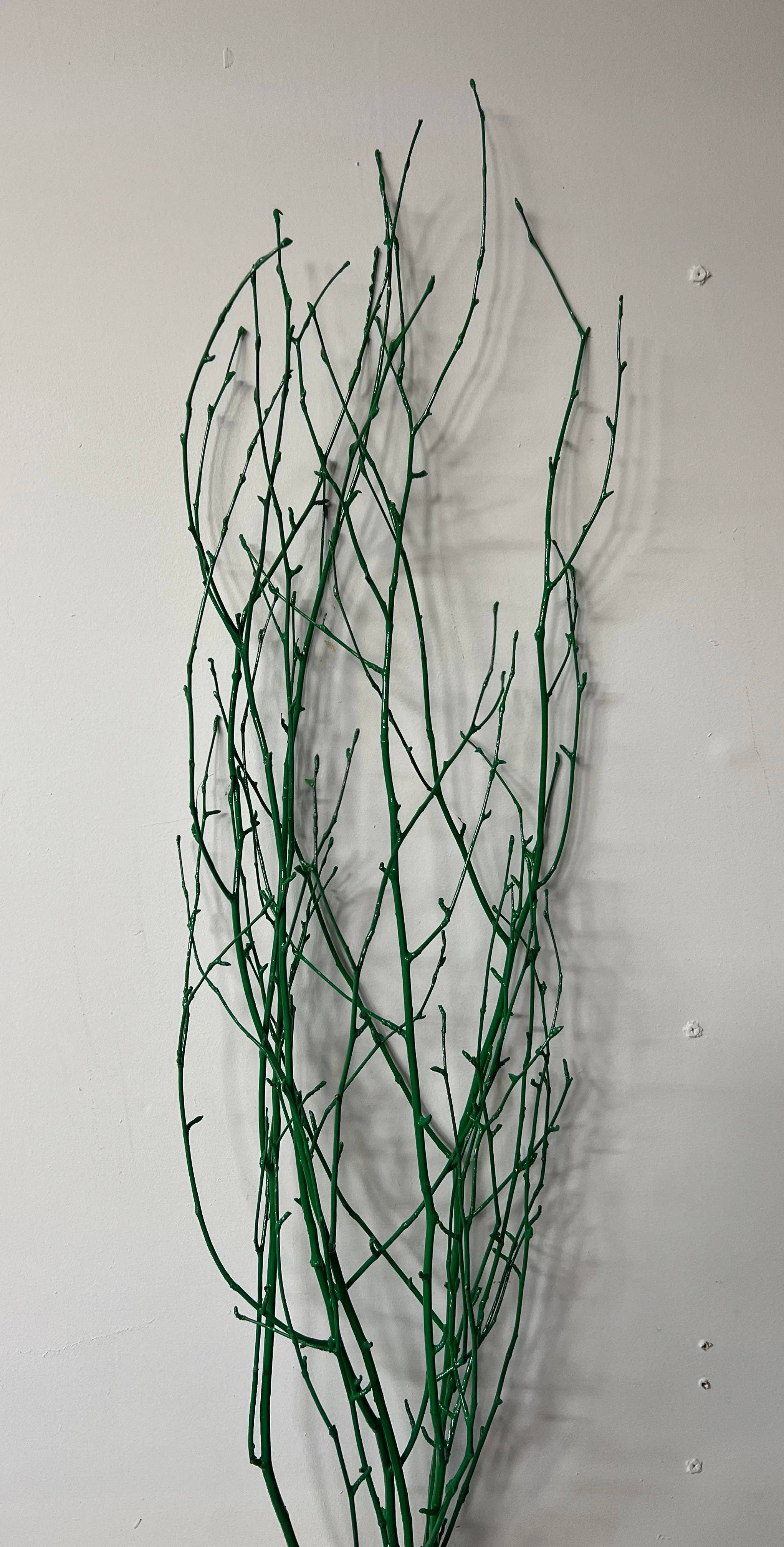 Painted Birch Branches, 4pc sleeve (3-4ft)