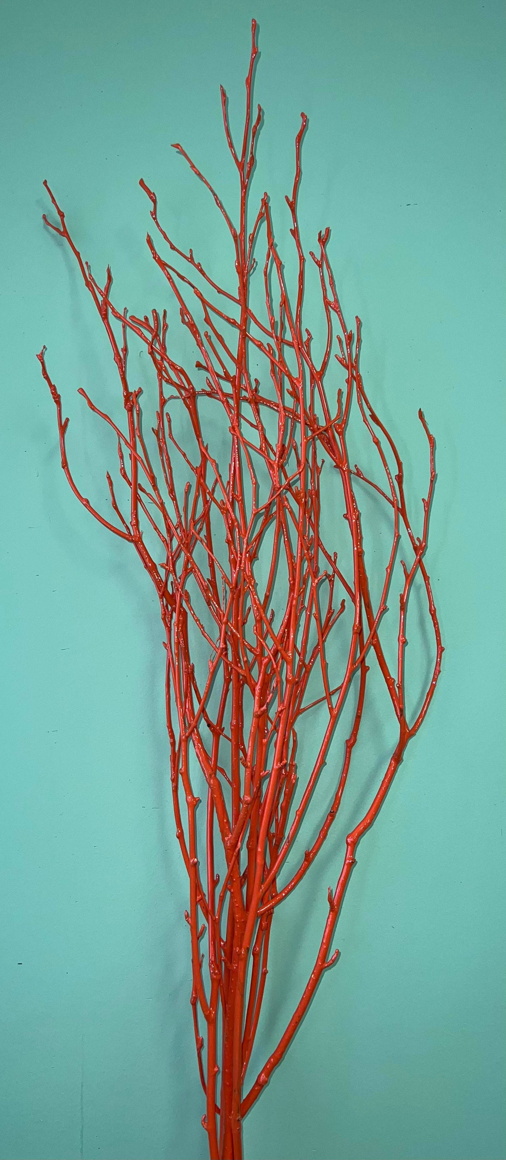 Painted Birch Branches, 4pc sleeve (3-4ft)