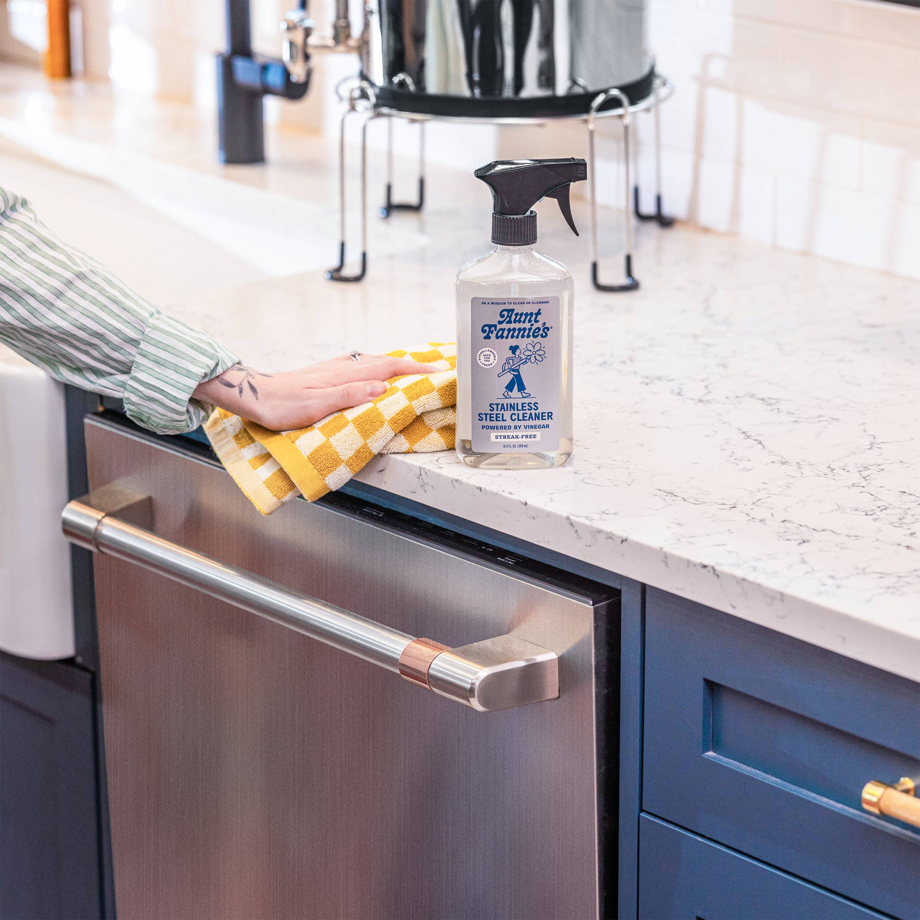 Stainless Steel Cleaner