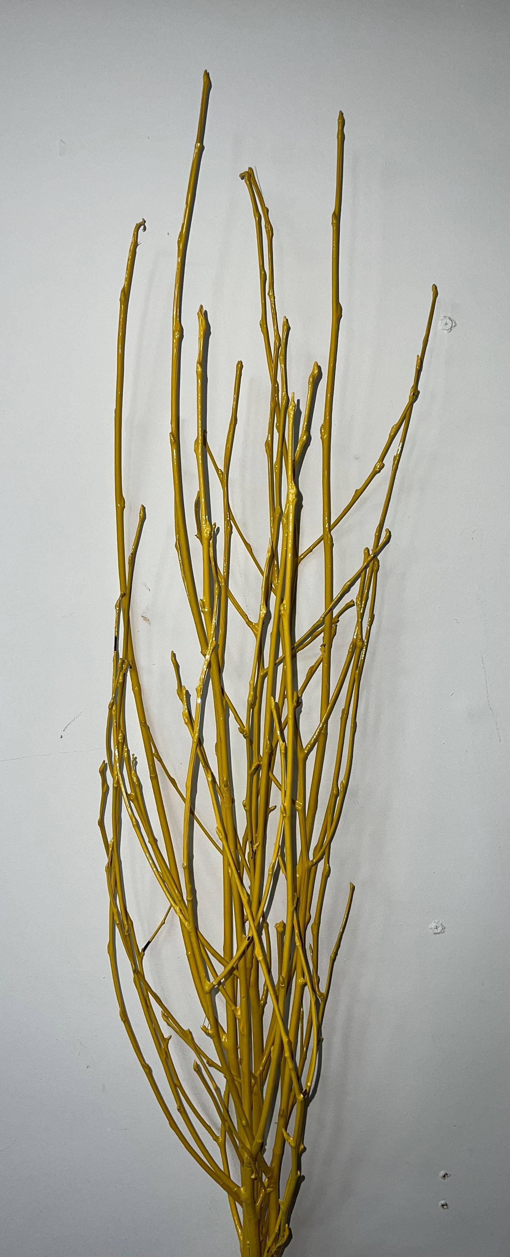 Painted Birch Branches, 4pc sleeve (3-4ft)