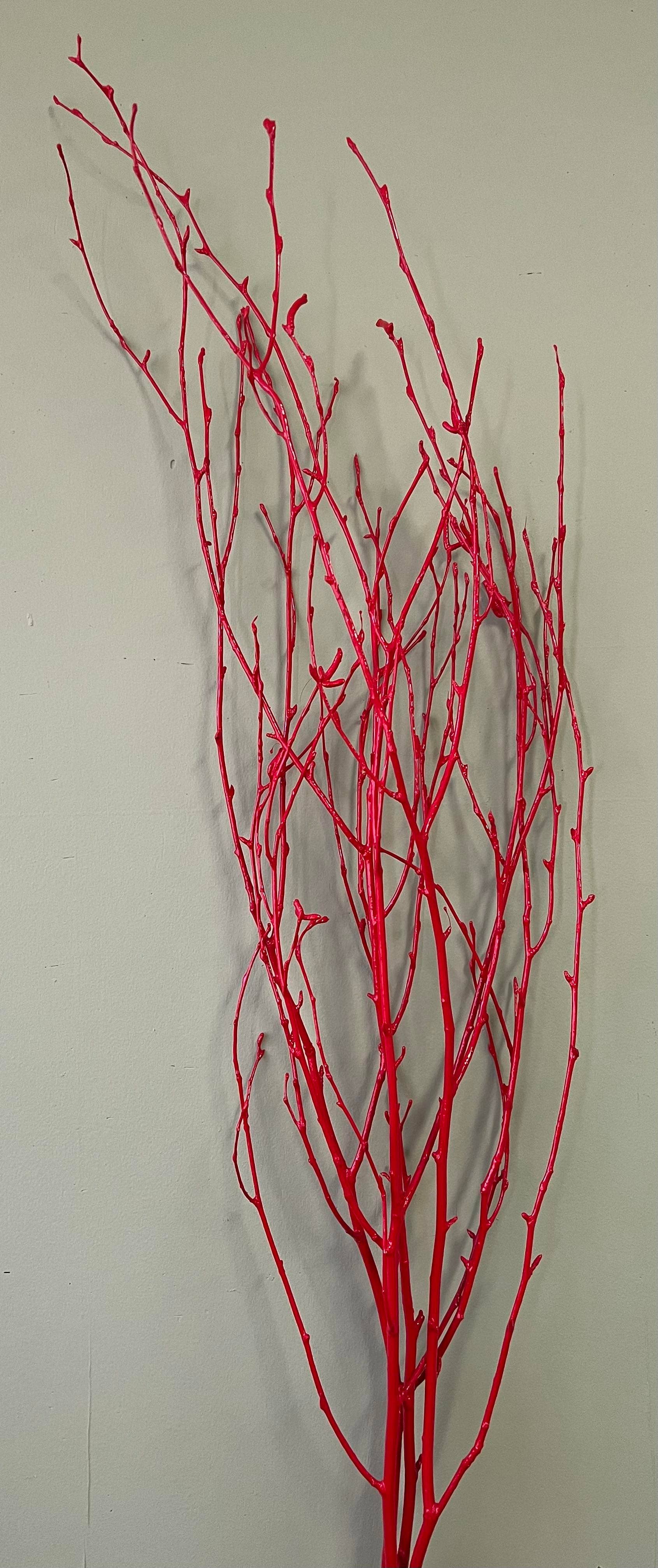Painted Birch Branches, 4pc sleeve (3-4ft)