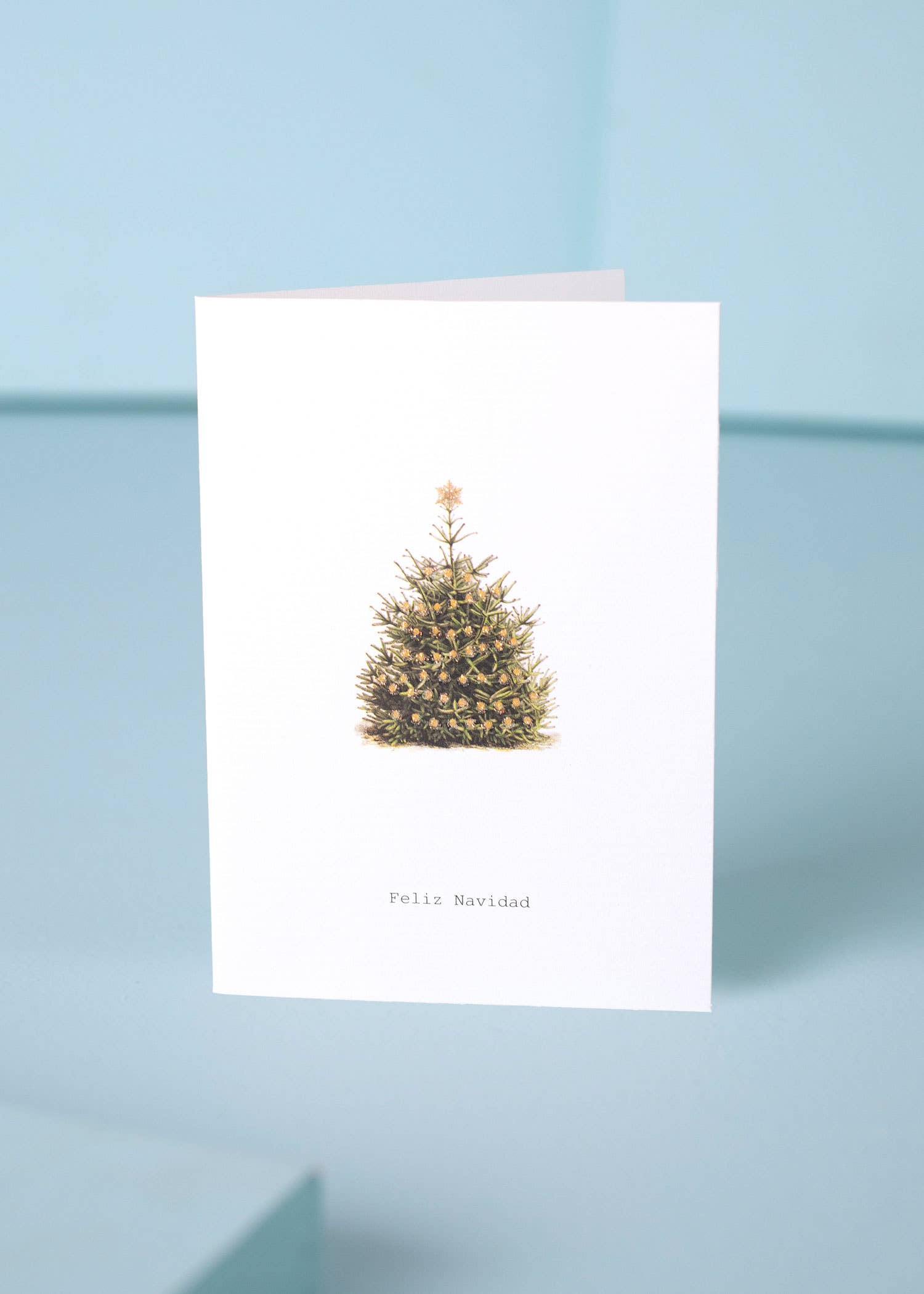 FELIZ NAVIDAD GREETING CARD