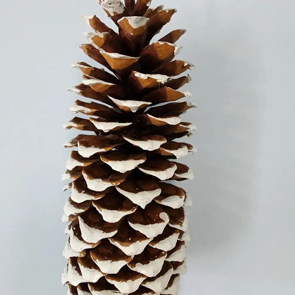 Sugar Pine Cones (large)