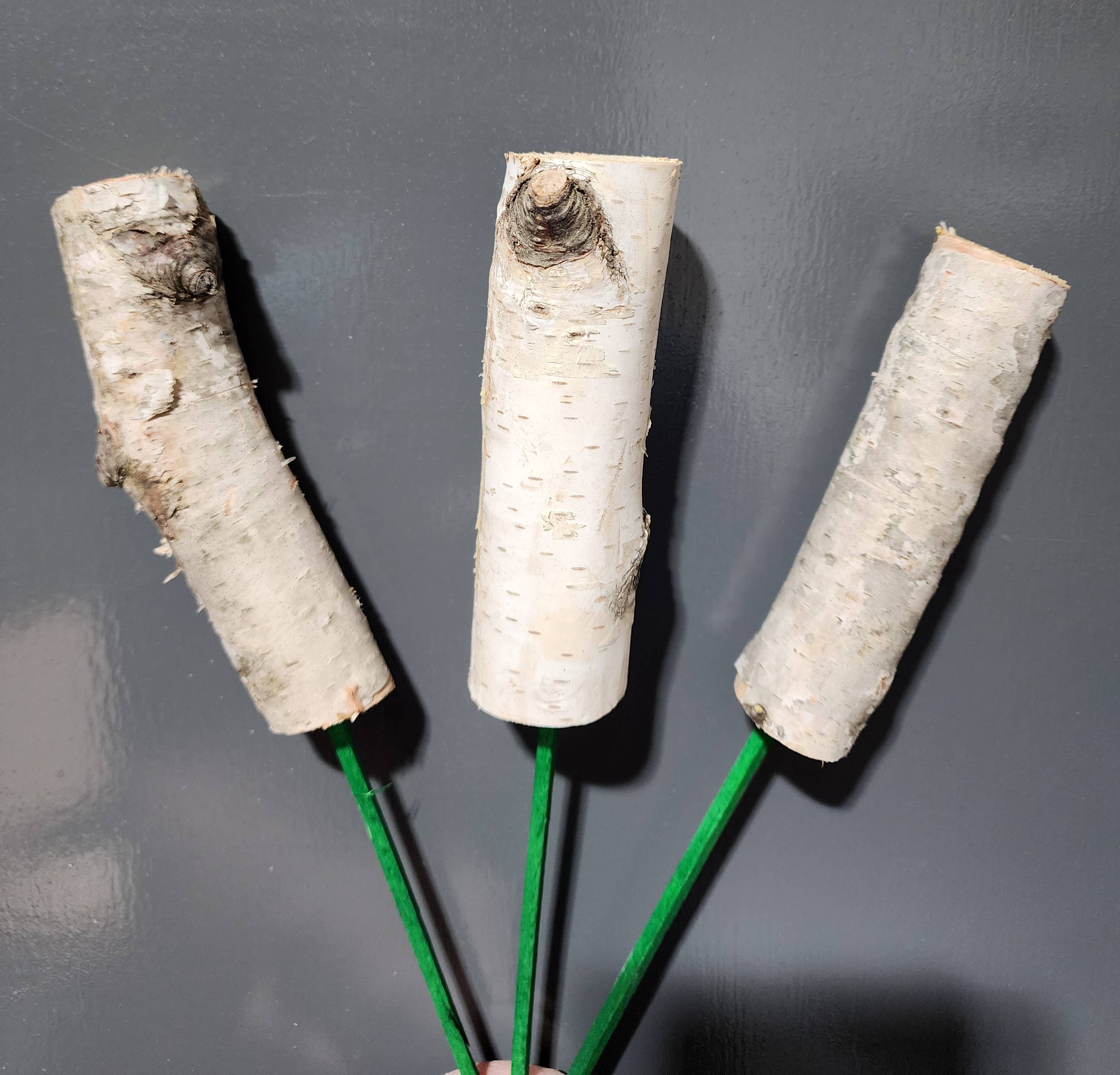 4" Mini Birch Poles on 6" Picks