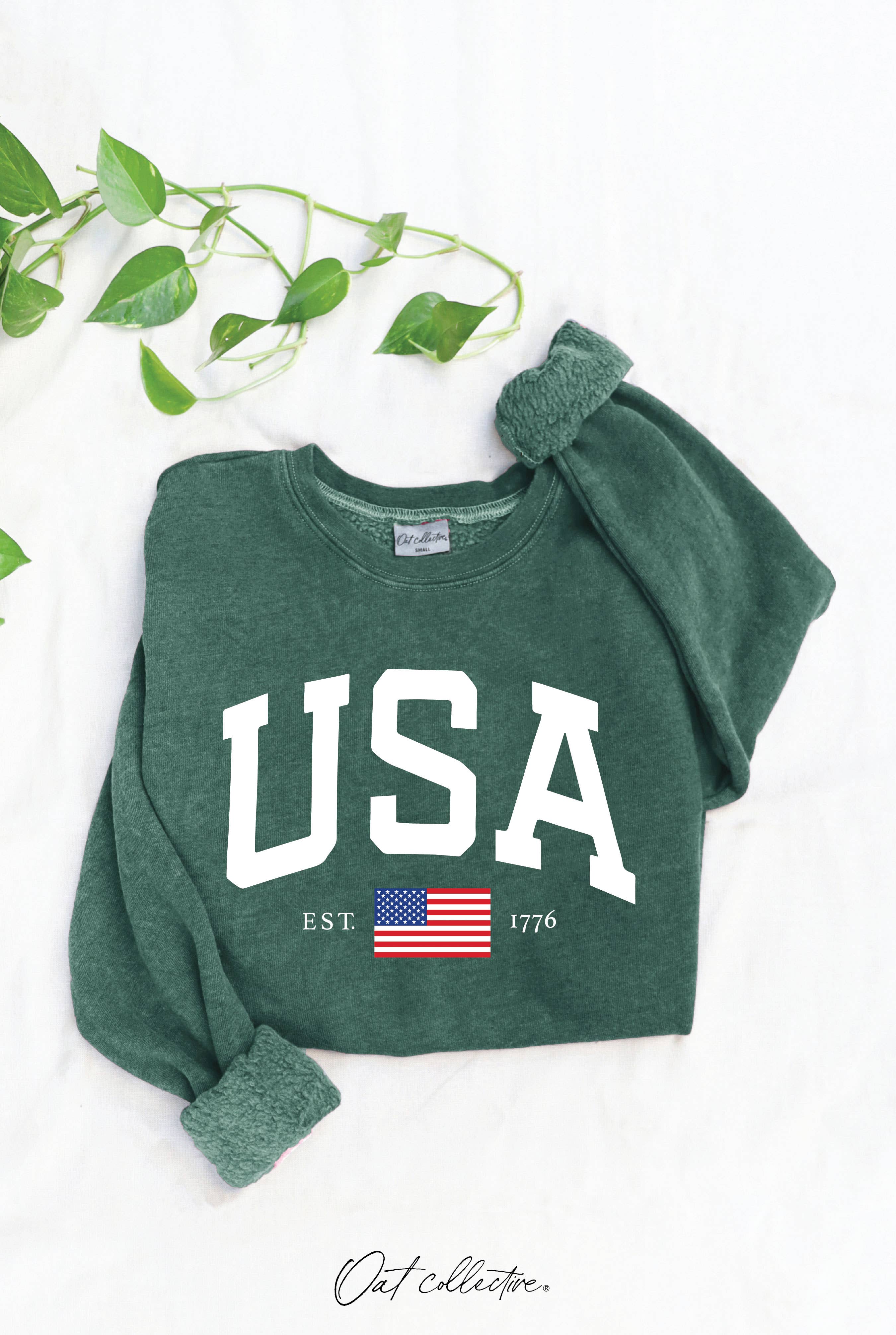 USA EST.1776 Mineral Graphic Sweatshirt