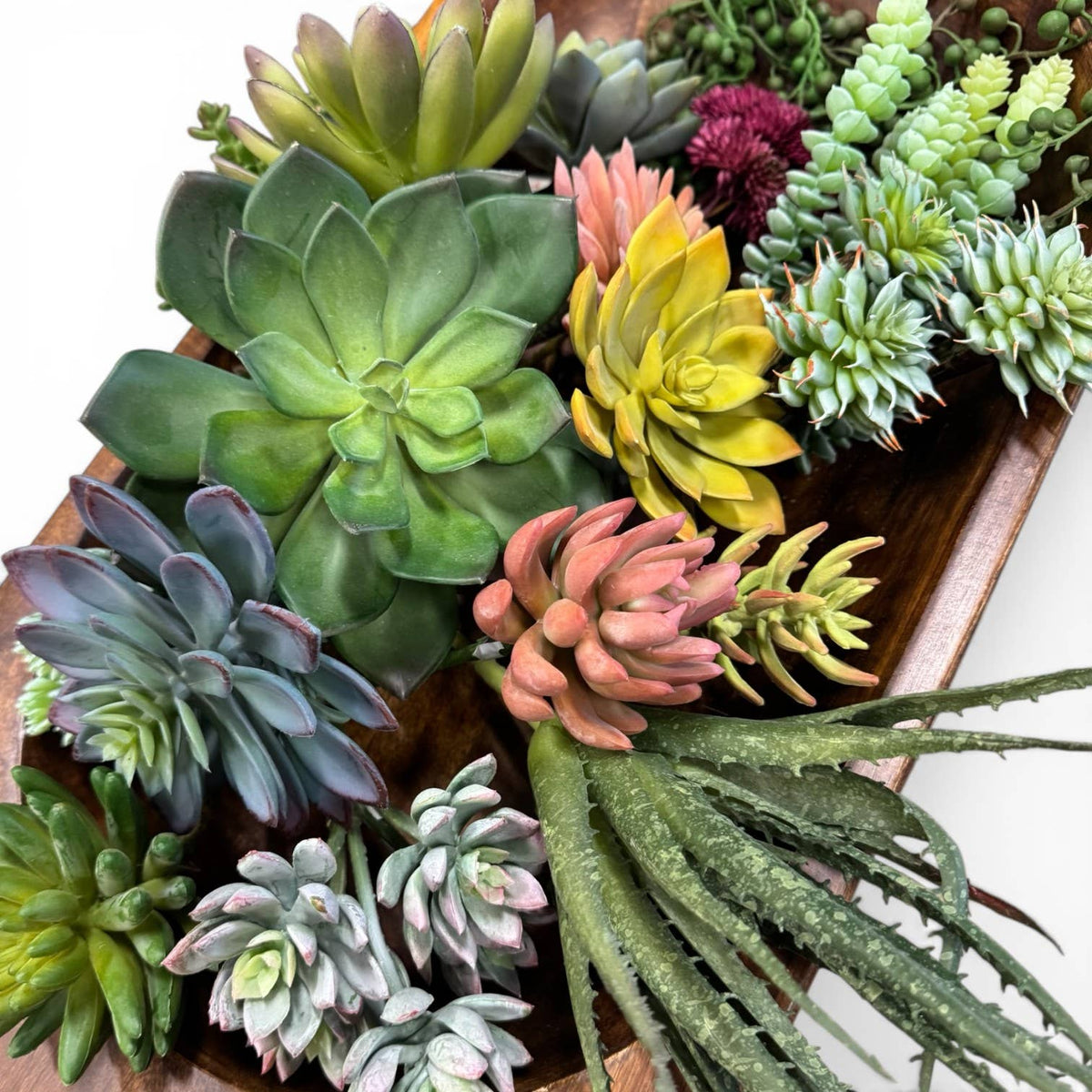 Life-Like Succulent Assortment – 15pc Set (4–8")