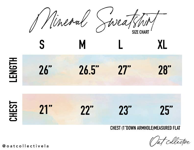 USA EST.1776 Mineral Graphic Sweatshirt
