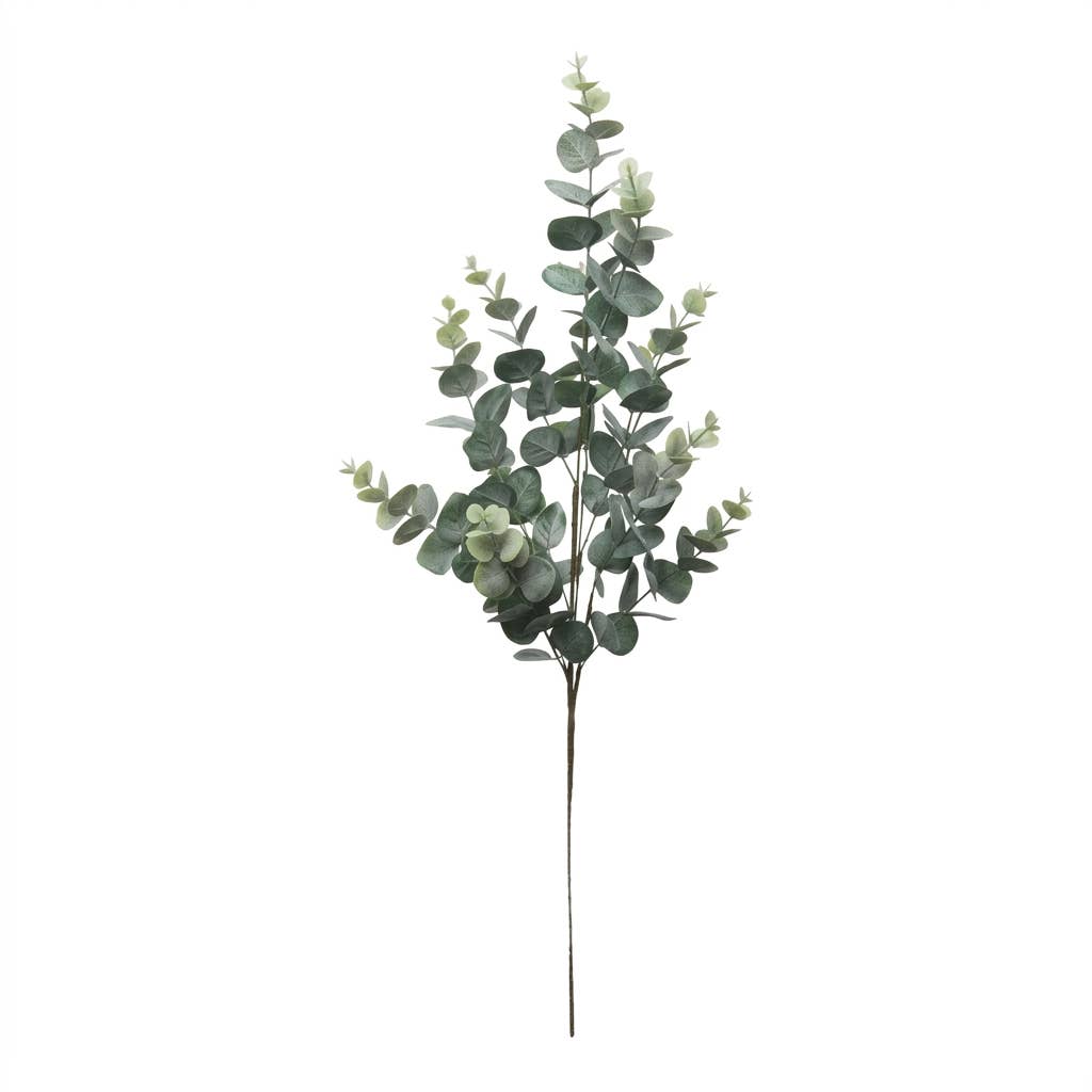 34" Eucalyptus 12 Spray