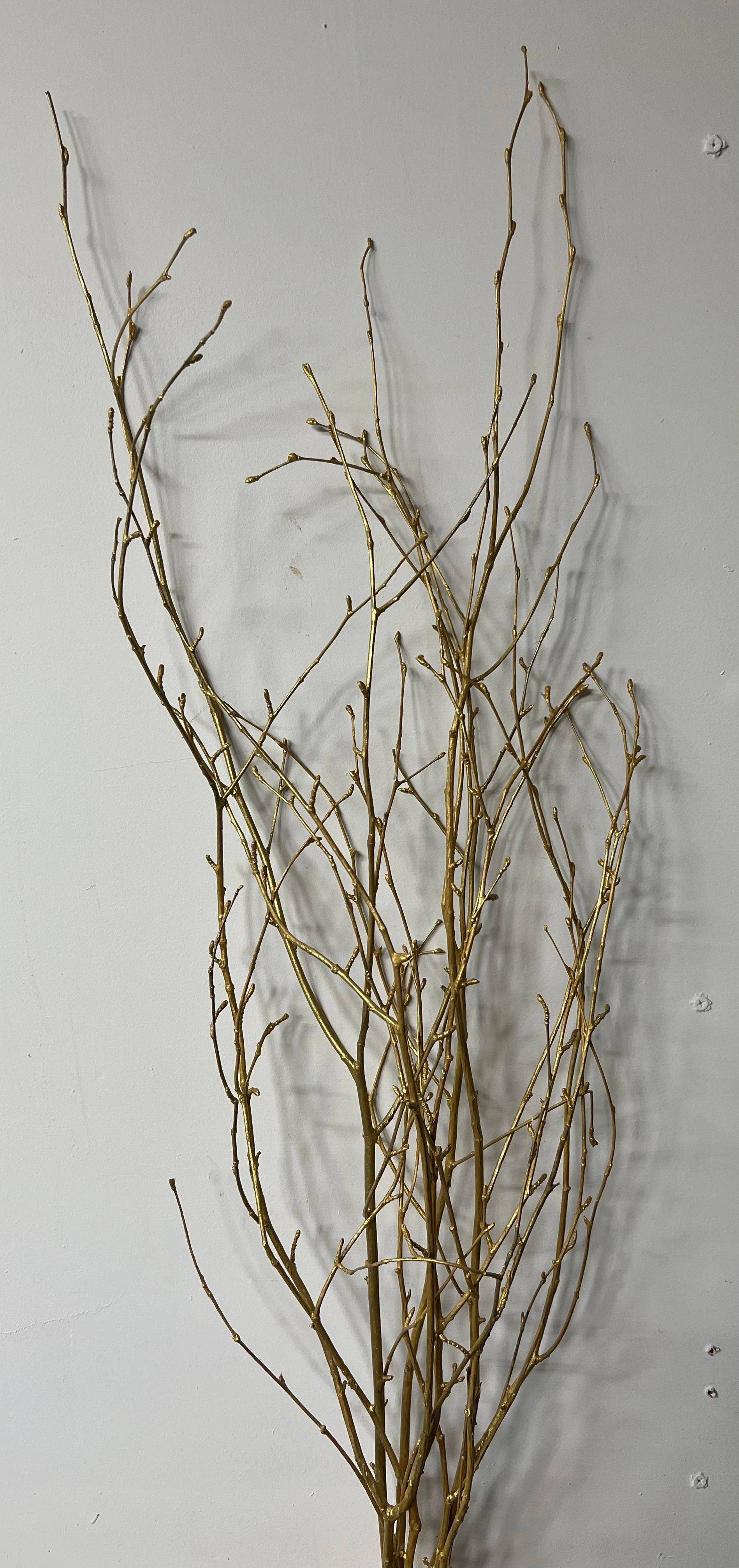 Painted Birch Branches, 4pc sleeve (3-4ft)