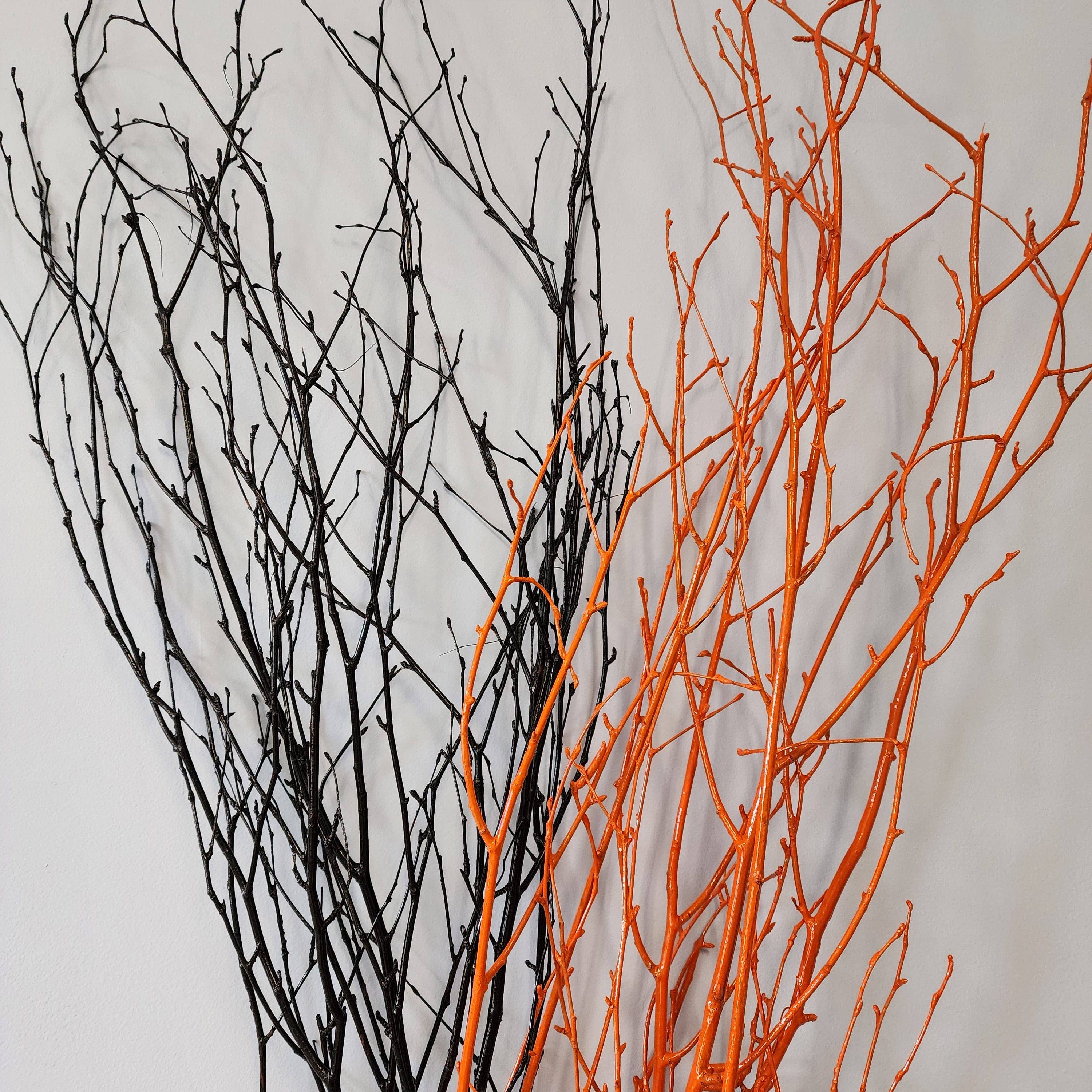 Painted Birch Branches, 4pc sleeve (3-4ft)