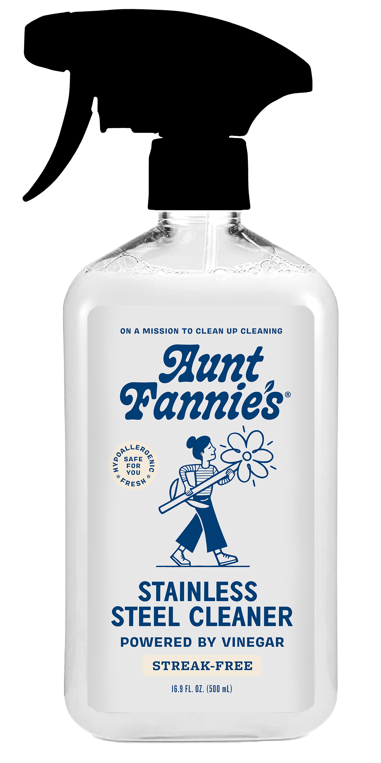 Stainless Steel Cleaner