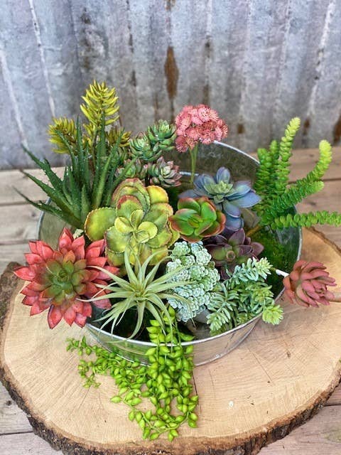 Life-Like Succulent Assortment – 15pc Set (4–8")