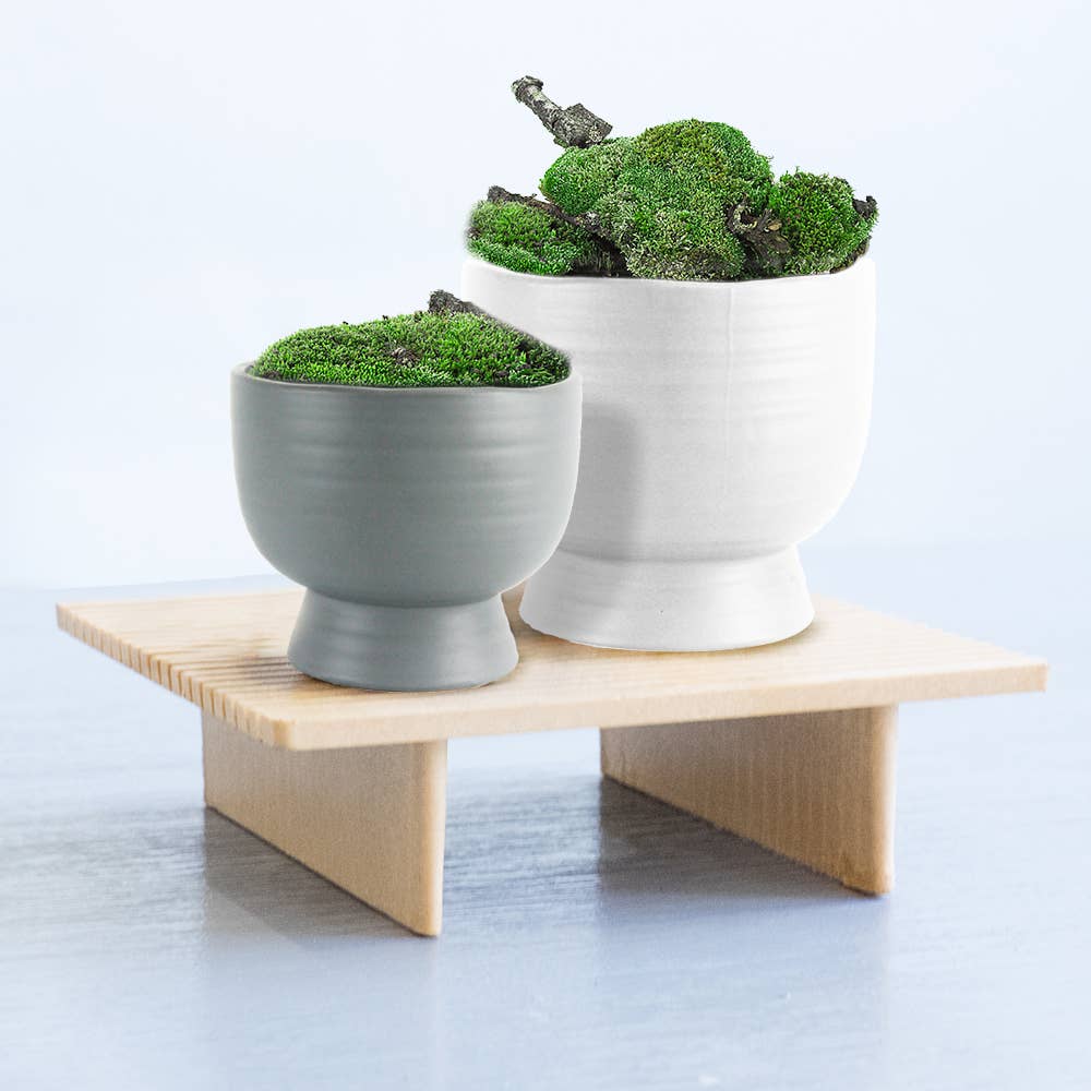 5.5" Mid Century Short Ceramic Pot