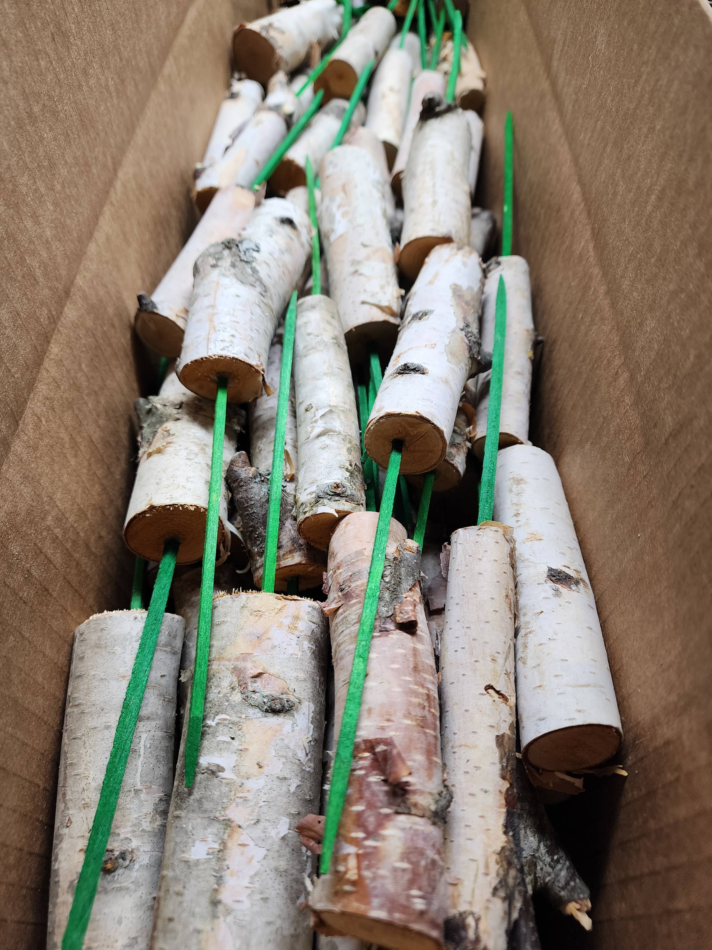 4" Mini Birch Poles on 6" Picks