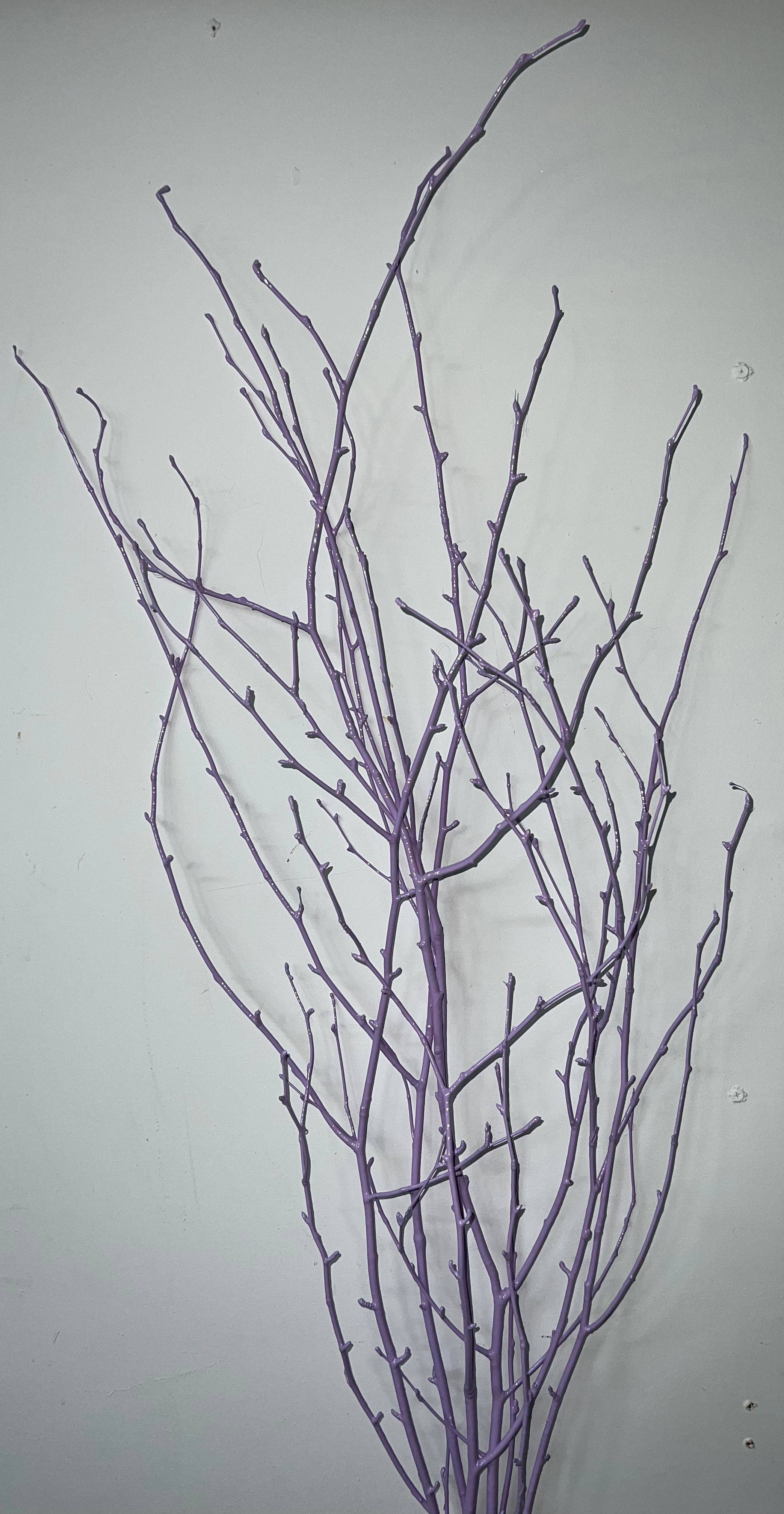 Painted Birch Branches, 4pc sleeve (3-4ft)