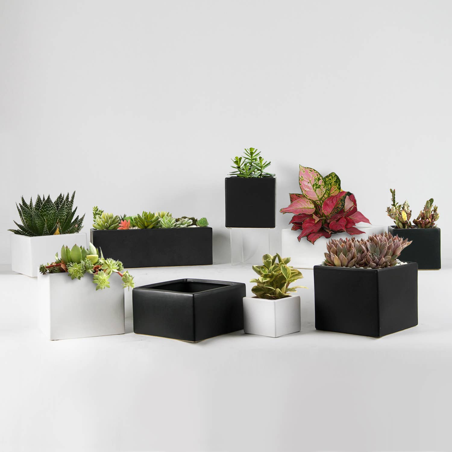 12" x 4" Top | Ceramic Rectangle Planters