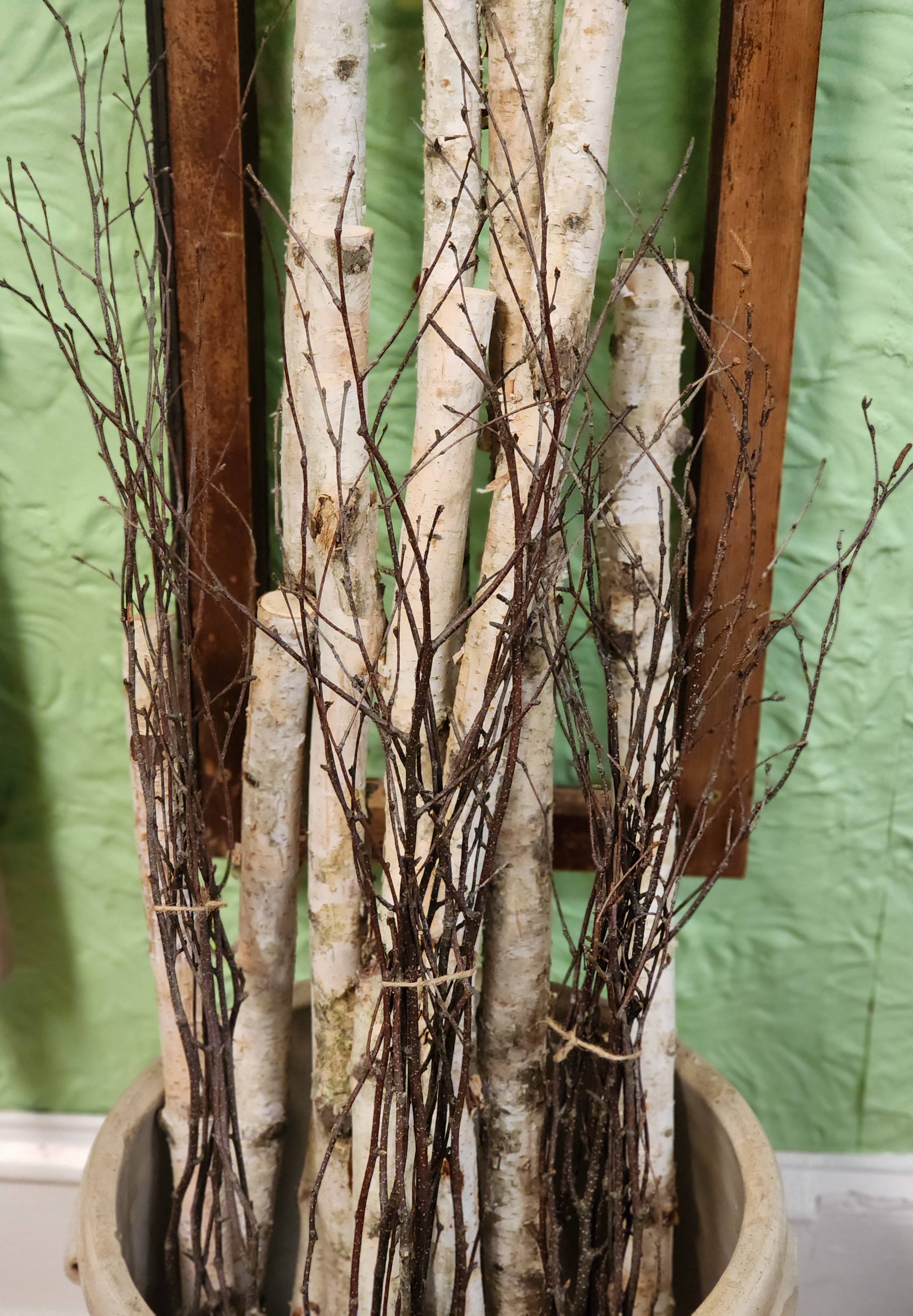 Birch Poles 4ft x 1-2" Diameter