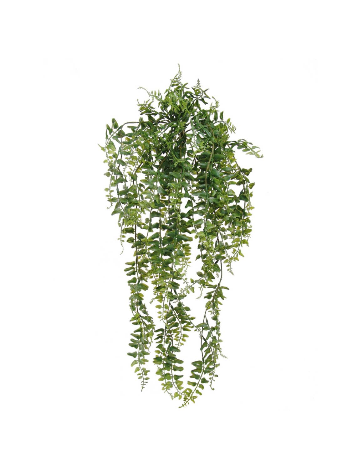 25" Buckler Fern Vine Hanging Bush With 90 Tips Faux