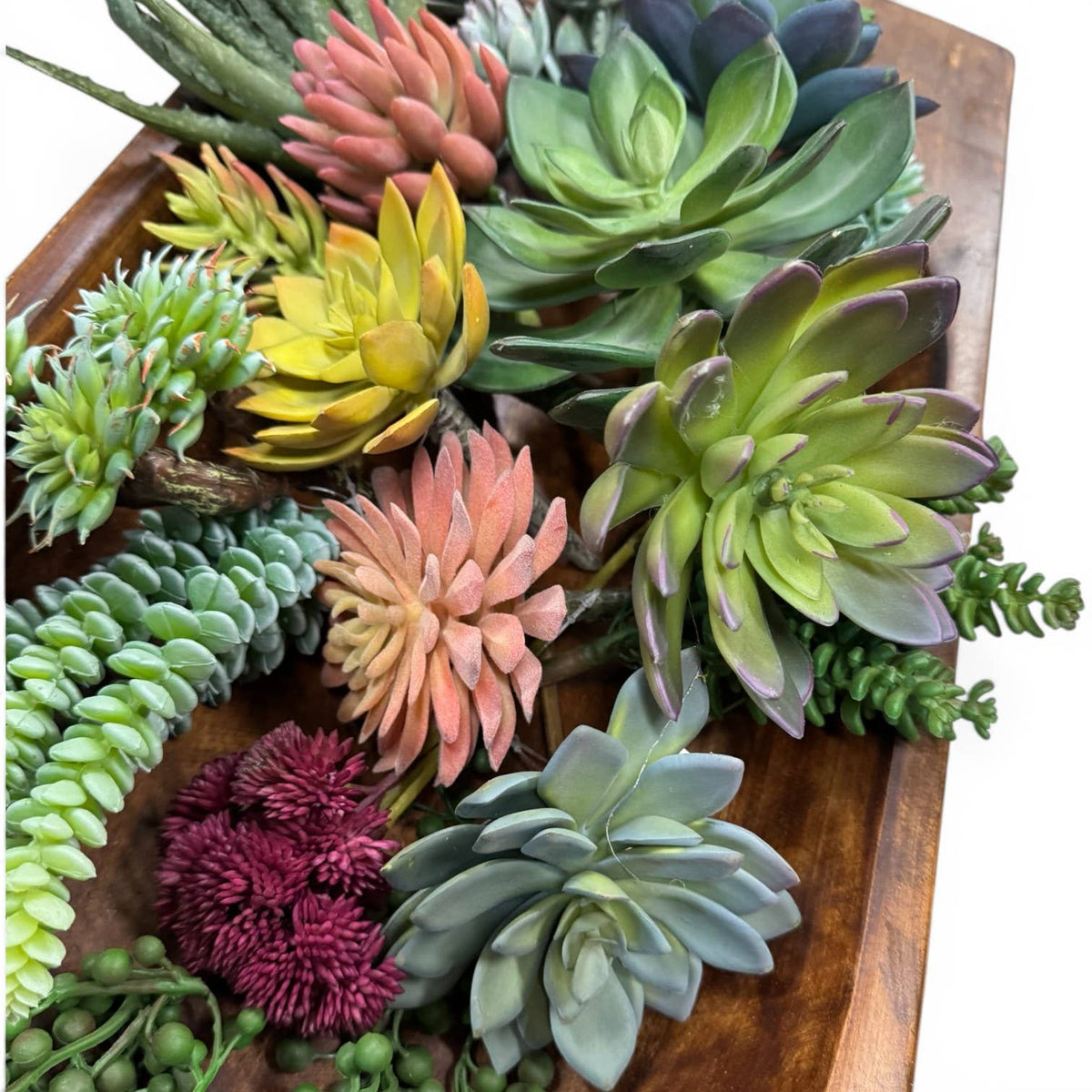 Life-Like Succulent Assortment – 15pc Set (4–8")